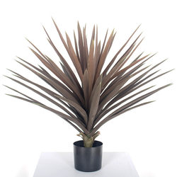Plant desert plants, simulated gladiolus green plant trays, tropical Nordic simulated sisal iron tree plants, large potted plants