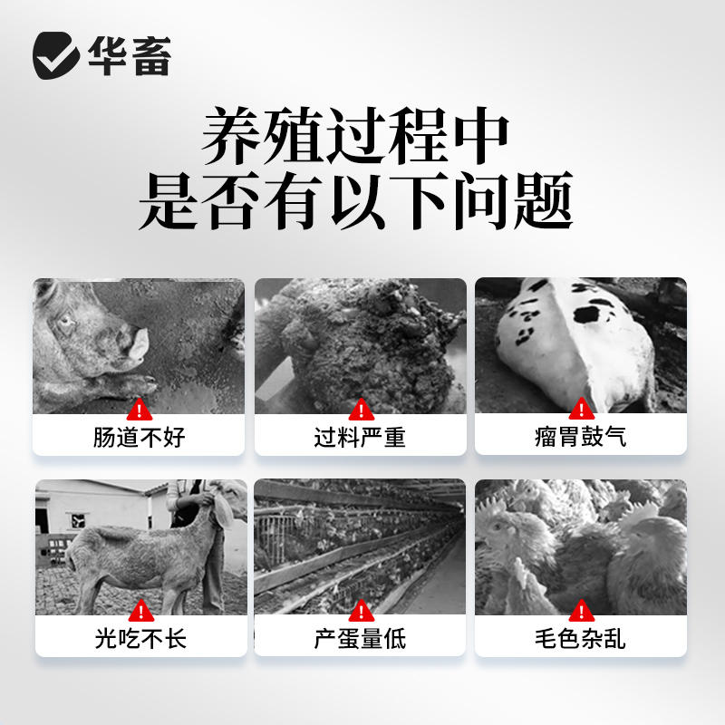 华畜兽用益生菌调节肠道促消化猪牛羊鸡鸭鹅用地衣枯草芽孢菌杆菌-淘宝网