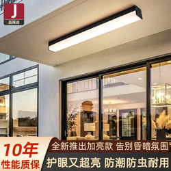 Outdoor Ceiling Light, Waterproof and Insect-Proof, 2025 New Model, Ultra-Bright Corridor Light, Outdoor Balcony Strip Light, Special Light for Sunrooms