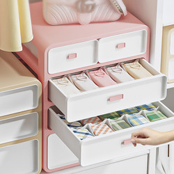 Underwear Storage Box, Drawer-Type Intimate Clothing Storage Cabinet, Socks and Pants Compartment Organizer, Wardrobe Organizer