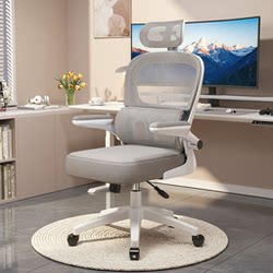Ergonomic Chair, Waist-Protecting Computer Chair, Comfortable Home Office Chair for Long Sitting, Reclining Gaming Chair, Backrest Seat