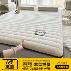 2026 New Winter Thickened Warm Lamb Fleece Mattress for Home Bedroom Mattress Pad Milk Velvet Pad Dormitory