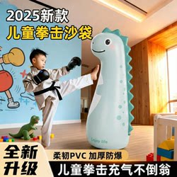 Children's Inflatable Punching Bag, Home-Use Standing Boxing Column, Kids' Martial Arts Target Punching Bag Training Equipment