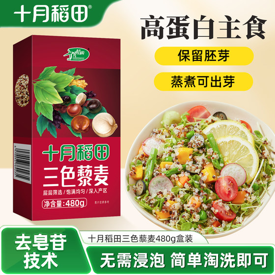 
October rice field three-color quinoa white, red and black whole grain mixed grain breakfast porridge with balanced proportions of quinoa porridge