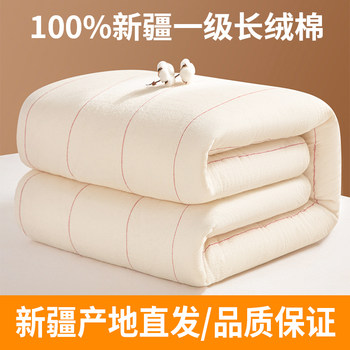 Xinjiang Changdong cotton quilt quilt quilt all -cotton quilt cotton wool mattress, bedding, thickened warm spring and autumn and winter
