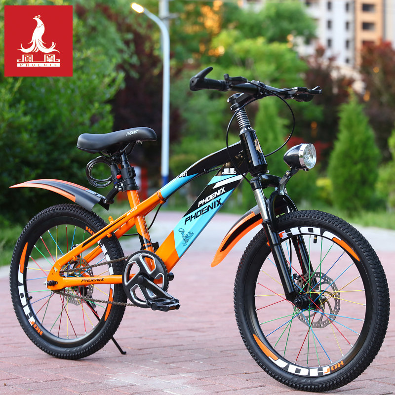Phoenix 20インチ子供用自転車 - 6-15歳 - ディスクブレーキマウンテン