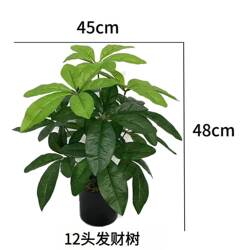 High-End Artificial Money Tree Potted Plant, Office Plastic Green Plant, Indoor Decoration, Fake Flower, Living Room Decoration Plant, Bonsai