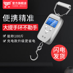 Kaifeng Mini Portable Electronic Scale 50kg High Precision Household Express Scale Small Spring Handheld Scale
