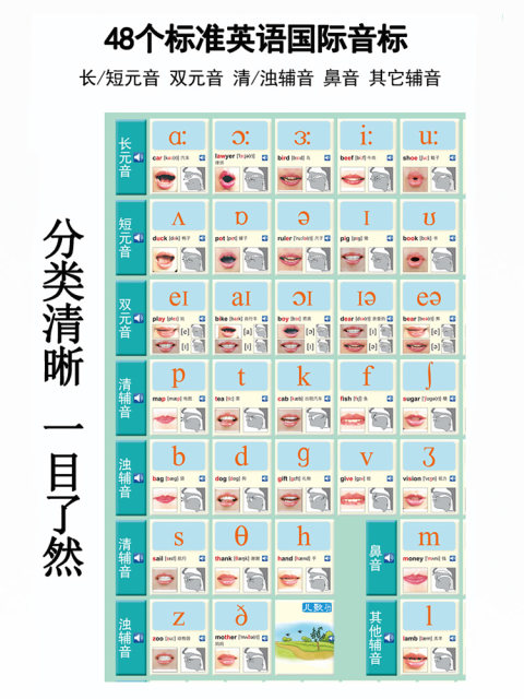 American pronunciation 48 English international phonetic symbols with sound hanging charts primary school student phonetic alignment 26 letters natural pronunciation
