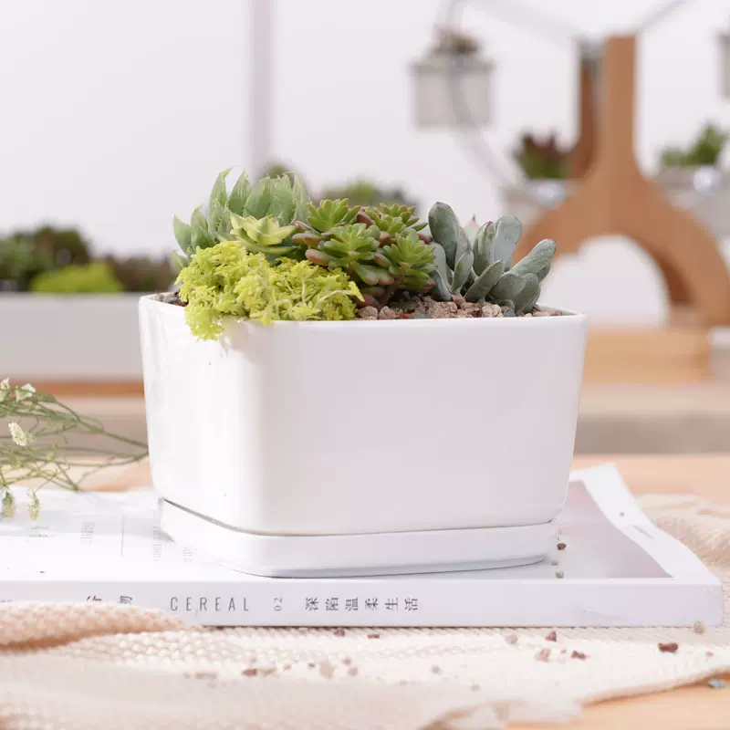 四方柱形鉢 四方彩花鉢 浮彫陶磁鉢 盆栽鉢 植木鉢 小品盆栽鉢 大品盆栽鉢 四方柱形鉢 四方彩花鉢 浮彫陶磁鉢 盆栽鉢 植木鉢 小品盆栽鉢