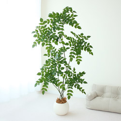 Simulated Green Plant Fulu Tong, High-End Light Luxury Indoor Living Room Large Potted Plant, Floor-Standing Ornament with a Sense of Sophistication, Artificial Plant