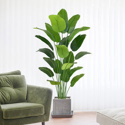 Artificial Plant Traveler's Banana Tree, Floor-Standing Bird of Paradise, ins Styles, Living Room Flower Decoration, Fake Potted Green Plant, Nordic Large Tree