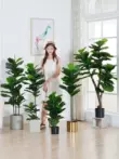 Bắc Âu mô phỏng fiddleleaf sung chậu cây trong nhà đồ trang trí cây xanh lớn cây cảnh hoa giả ins nhà trang trí phòng khách hoa giả baby Cây hoa trang trí