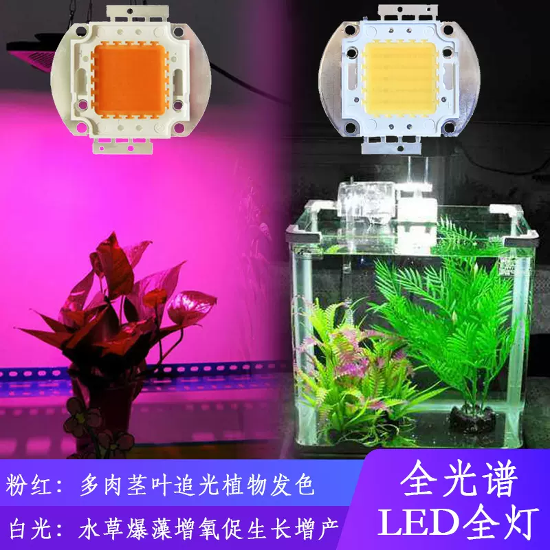 3w50w全光谱白光led灯珠植物生长灯水草灯鱼缸水族箱灯