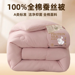 Class a Pure Cotton Silk Quilt 100% Mulberry Silk Thickened Winter Quilt Core Double Single Student Dormitory Spring and Autumn Quilt
