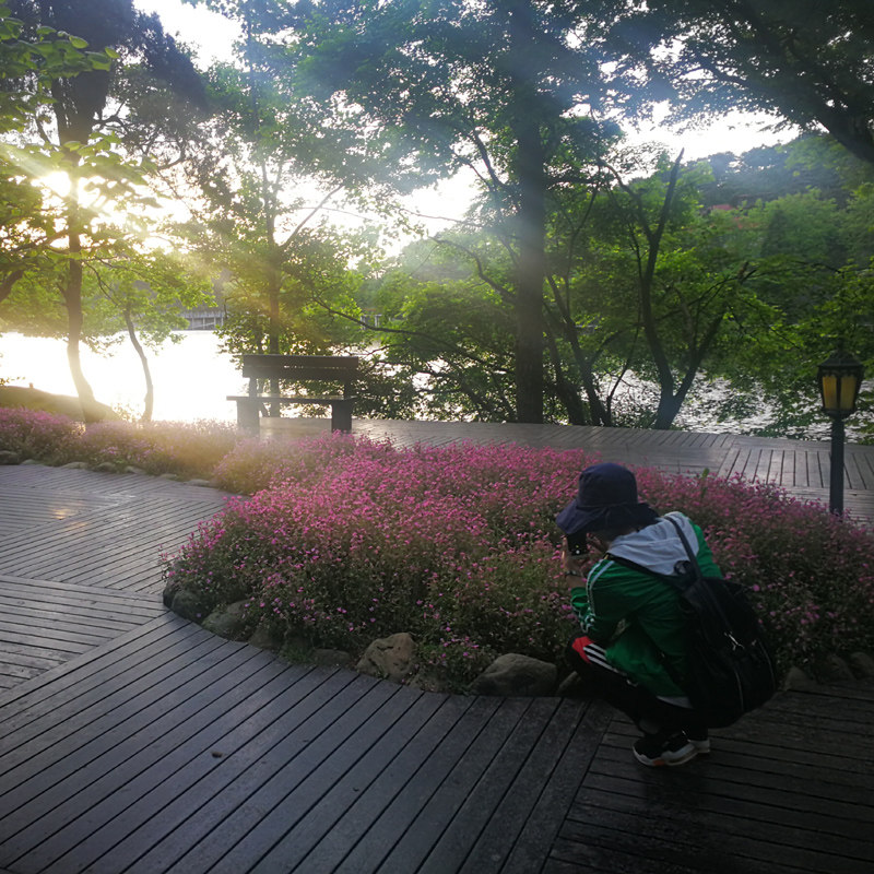 庐山一日游 2-8人小团 两线精华+三叠泉 不走回头路 九江旅游赏枫