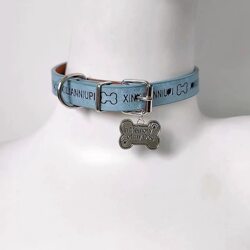 Aqua-Colored Puppy Bone Choker, Cute, Sweet, Cool, Niche Choker, Leather Punk Hot Girl Necklace