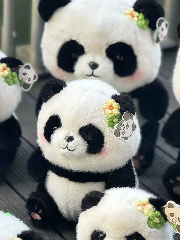 【レア品！新品・未使用品】和花ちゃん視点の限定品写真集「大熊猫的朋友圏」 四川正版花花熊猫背发财苹果毛绒玩具成都纪念品周边成都基地