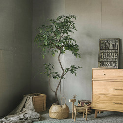 Simulated Green Plants, Indoor Artificial Trees, High-End Light Luxury Banyan Trees, Bionic Plants, Real Tree Trunks, Floor-Standing Potted Plants, Decorative Ornaments