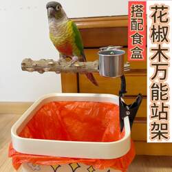 Huojiaowu Universal Bird Stand Parrot Fixed-Point Defecation Training Trash Can Stand Multifunctional Stand with Food Box