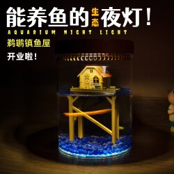 Pelican Town Fish House Night Light That Can Raise Fish