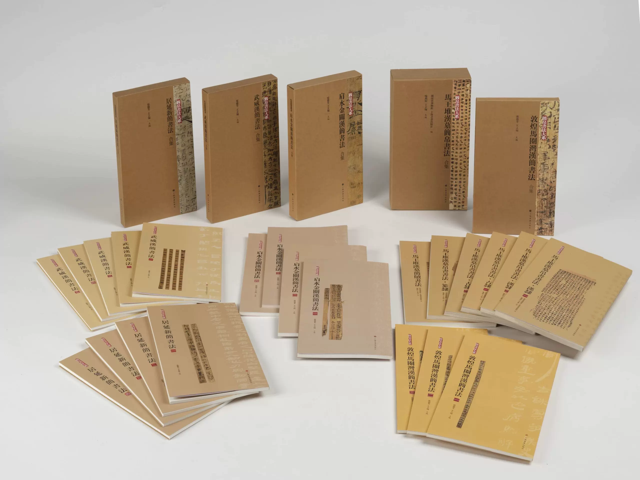 楚汉简帛书典　楚漢簡帛書典 楚汉简帛书典 楚漢簡帛書典 中文書 楚漢簡帛書