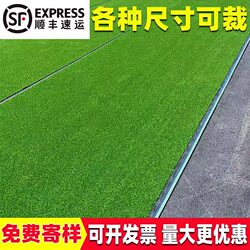 Simulated Lawn Carpet, Artificial Green Balcony Decoration Mat, Artificial Outdoor Kindergarten Plastic Fake Turf Mat