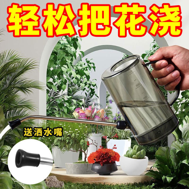 Watering kettle, special long mouth for watering flowers, stainless steel large capacity thickened gardening succulent watering kettle for watering vegetables, household watering kettle