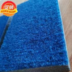 Rhythmic Gymnastics Dance Cheerleading Fitness Mat Professional Competition Sanda Fighting Martial Arts Training Mat Thickeneded Carpet