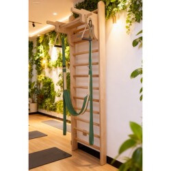 Home Multifunctional Single and Double Bar Ribbed Frame Pull-Up Rehabilitation Training Stretching Leg Press Wall-Mounted Fitness Equipment