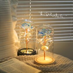 520 Eternal Rose Night Light Is a Niche and High-End Birthday Gift for Girlfriends, Wives, and Mothers