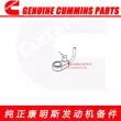 Vòi làm mát piston Dongfeng Cummins L/ISL 3959291/4937305/4944337/5405325 thân piston Piston