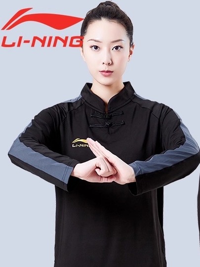 王映海傳戴氏心意拳精要　繁体字版　発勁原理　技撃応用 王映海傳戴氏心意拳精要 繁体字版 発勁原理 技撃