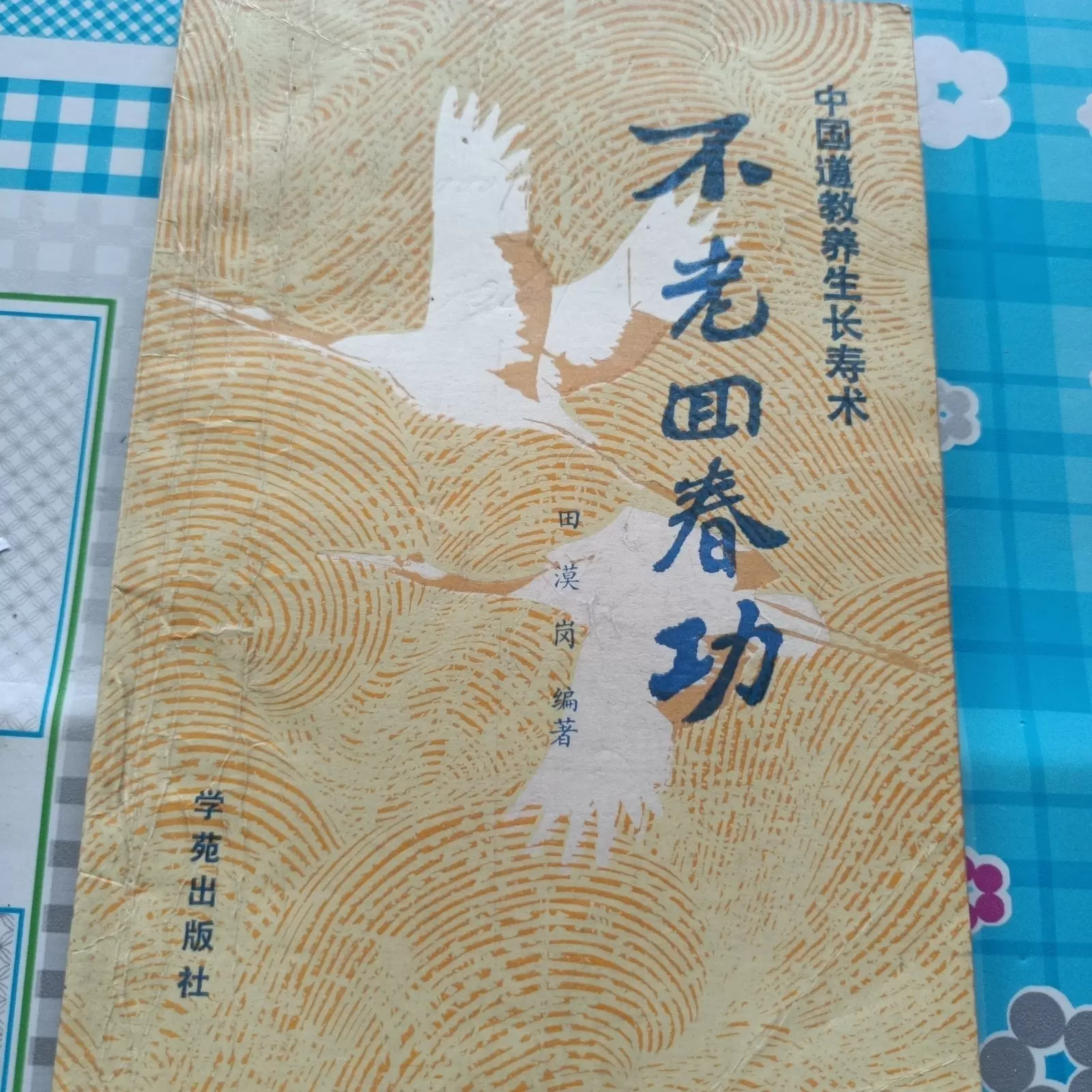 中国書道文化辞典 西林昭一 中国書道文化辞典 西林昭一著 柳原出版 昭和