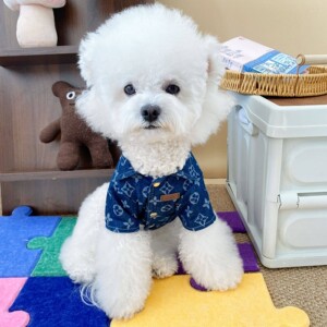 
Dogs and cats spring and summer denim short-sleeved shirt Korean style handsome small and medium-sized dog pet clothes Teddy Bichon