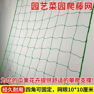 
Plant climbing net climbing net gardening frame net fruit loofah bitter gourd rose vine flower climbing planting net