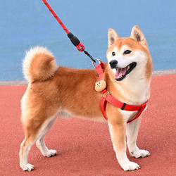 Dog Leash Harness Vest-Style Harness for Teddy, Bichon, Shiba Inu, Adjustable Harness for Large, Medium, and Small Dogs, Dog Walking Leash