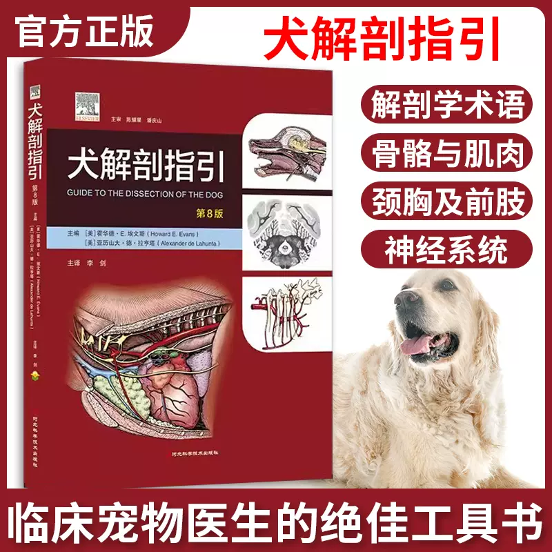 Evans and de Lahunta犬の解剖 Evans and de Lahunta 犬の解剖 第7