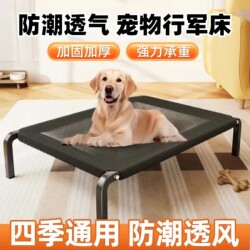 Pet Camp Bed with Detachable and Washable Design, Elevated Off the Ground, Breathable Dog and Cat Bed, Suitable for All Seasons, a Great Item for Pets