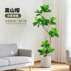 High-End Artificial Green Plant, Luxury Bengal Banyan Tree for Living Room, Indoor Artificial Flower Tree, Large Floor-Standing Potted Plant