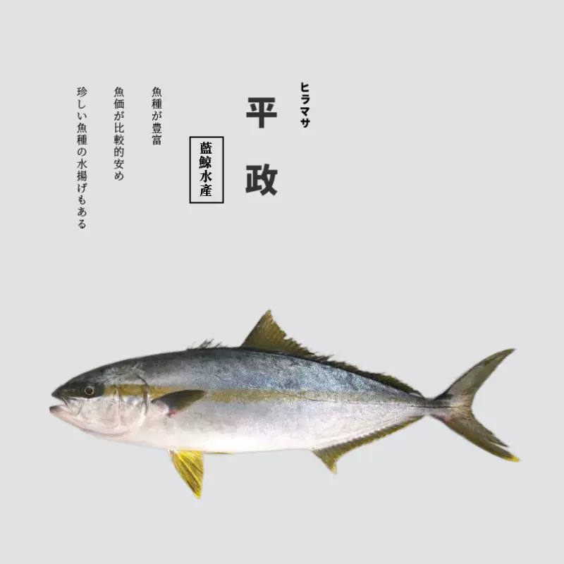 斤 黃尾鰤天然鮮活深海鮮日料刺身生魚片急凍超低溫青甘黃條鰤 Taobao