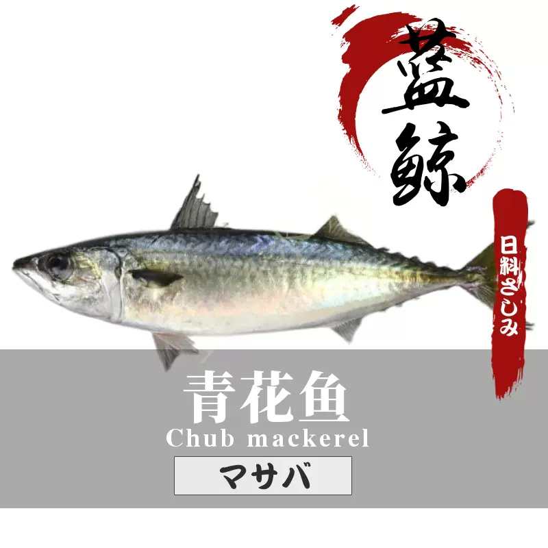 青花鱼 海鲜日料刺身寿司生鱼片深海鲜活海捕冰 青花鱼 海鲜日料刺身寿司生鱼片深海鲜活海捕冰