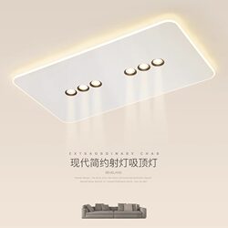 Living Room Lamp, Ceiling Lamp, Spotlight, Minimalist Hall Lamp, Guangdong Zhongshan Modern Simple Rectangular Ultra-Thin Room Lighting Fixtures