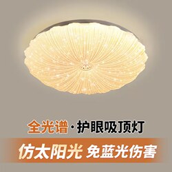 2025 New Living Room Lamp Shell Ceiling Lamp Led Bedroom Lamp Simple Modern Children's Room Dining Room Lighting Fixtures