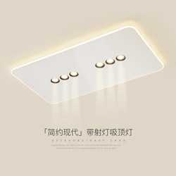 Living Room Lamp, Ceiling Lamp, Spotlight, Minimalist Hall Lamp, Guangdong Zhongshan Modern Simple Rectangular Ultra-Thin Room Lighting Fixtures