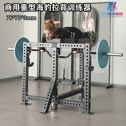 Gym Seal Rowing Machine Bench Adjustable Seated Rowing Machine Seal Rowing Pull-Down Barbell Bar