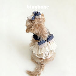 Bingbone Pet Clothes Summer Style with Headwear Cute Bow Fairy Dress for Dogs Maltese Yorkshire