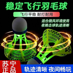 Glow-In-The-Dark Badminton Shuttlecock for Outdoor Use at Night, Wind-Resistant, Durable, High-Elasticity Plastic Training Ball, Unbreakable, Luminous, Wind-Resistant 824