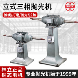 Linli Rust Removal Polishing Machine Grinder Wire Drawing Machine Grinder Belt Machine Wire Drawing Machine Vertical Desktop Industrial Household