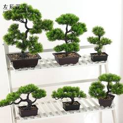Artificial Welcoming Pine, Beauty Pine, Thuja Bonsai, Home Living Room Potted Plant, Fake Flowers, Entrance Table Decoration, Green Plants